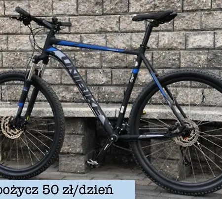 Widok * Ольштын