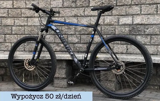 Widok * Ольштын